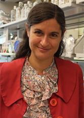 Susanne E. Ahmari, M.D., Ph.D. Susanne E. Ahmari, M.D., Ph.D. - Brain & Behavior Research Expert on adhd