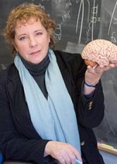 Amy F.T. Arnsten, Ph.D. Amy F.T. Arnsten, Ph.D.