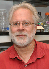René Hen, Ph.D.  René Hen, Ph.D.