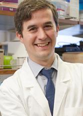Conor Liston, M.D., Ph.D. Conor Liston, M.D., Ph.D. - Brain & Behavior Research expert on schizophrenia